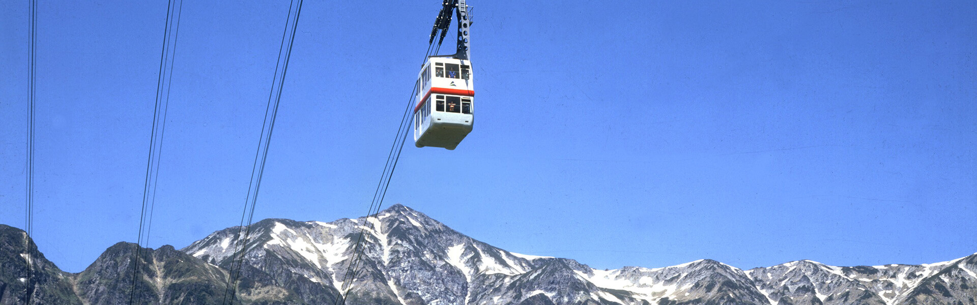 料金・お問合せ